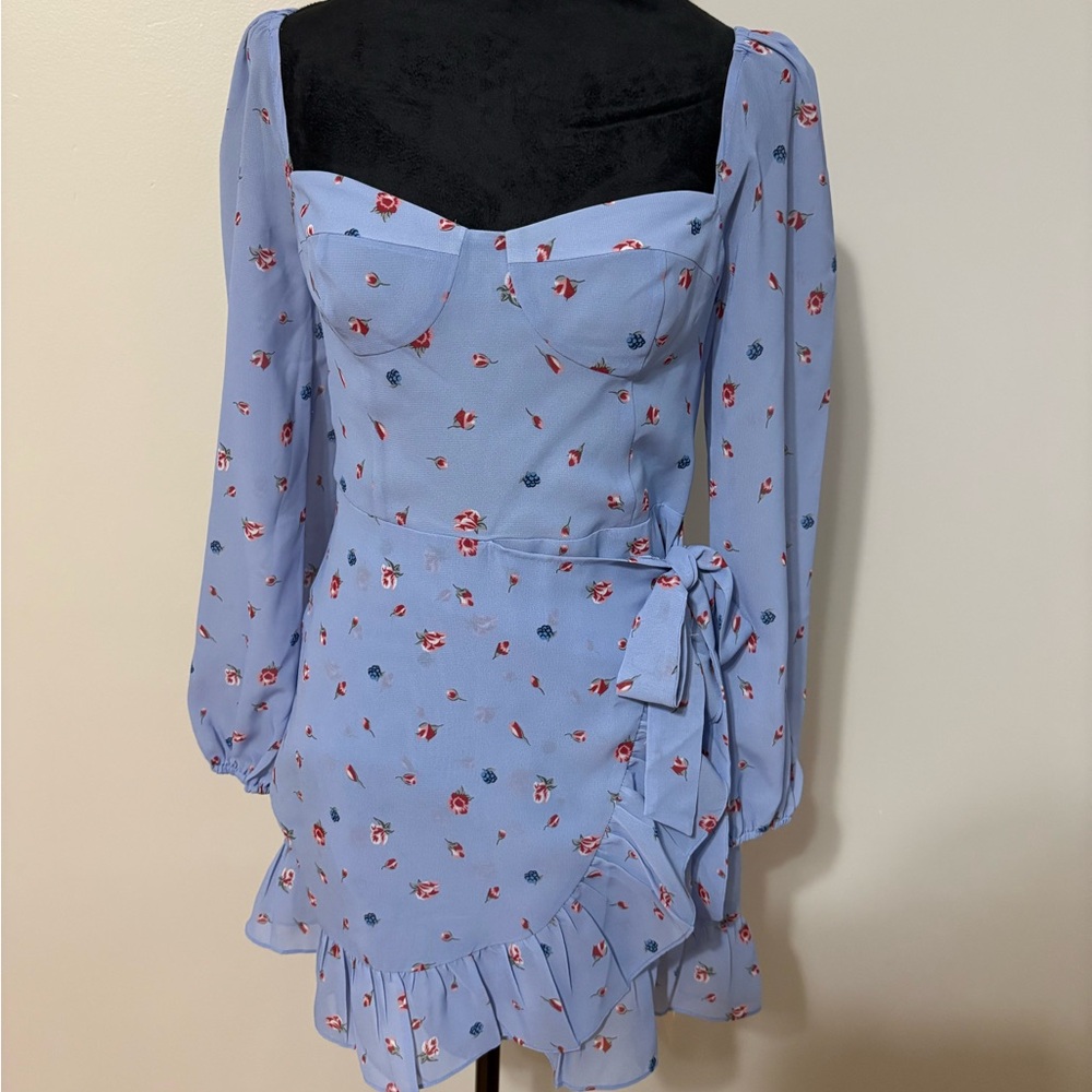 Floral Blue Long Sleeve Mini Dress